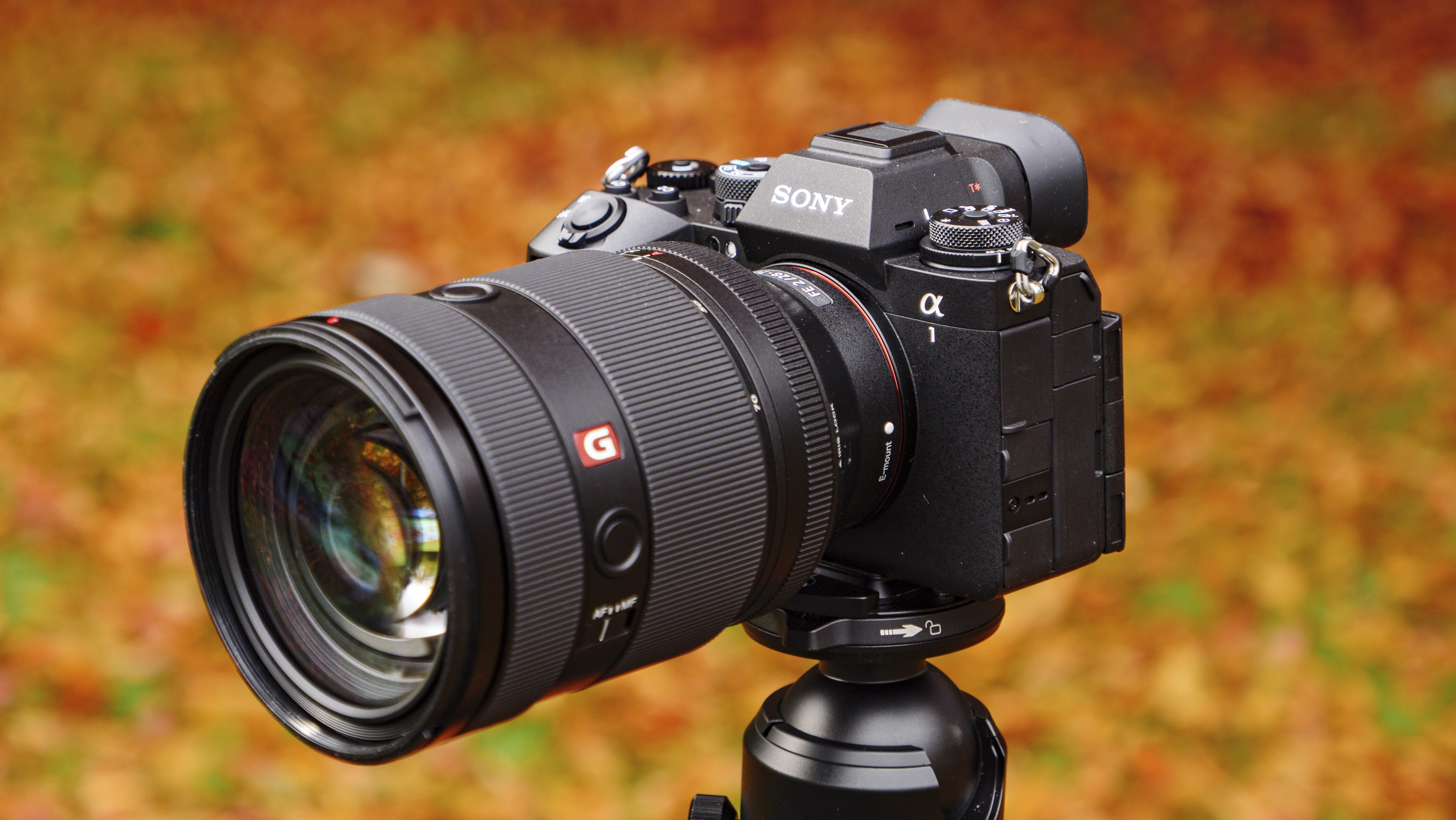 Sony Camera
